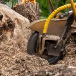The 5 best stump grinding services in Solingen – Removing unwanted tree stumps below ground level